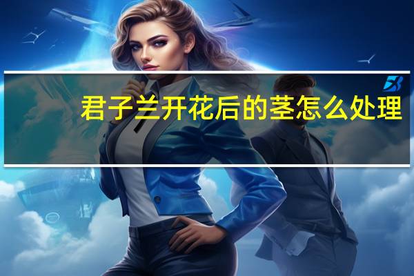 君子兰开花后的茎怎么处理
