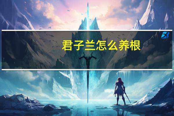 君子兰怎么养根