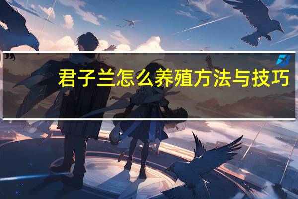 君子兰怎么养殖方法与技巧