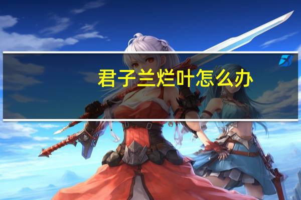 君子兰烂叶怎么办