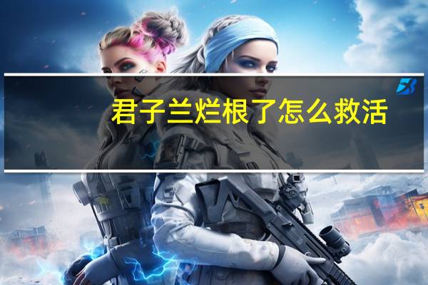 君子兰烂根了怎么救活