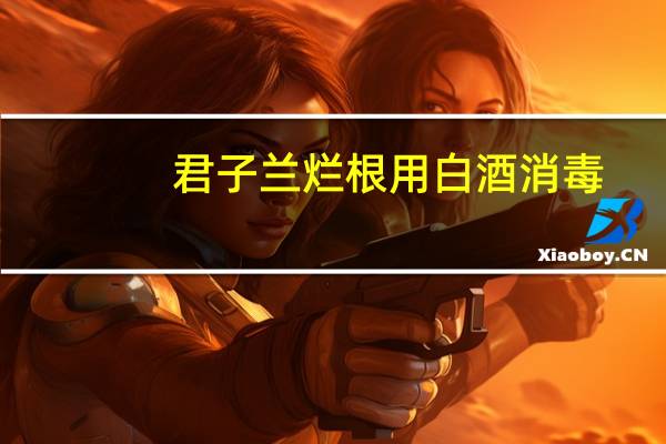 君子兰烂根用白酒消毒