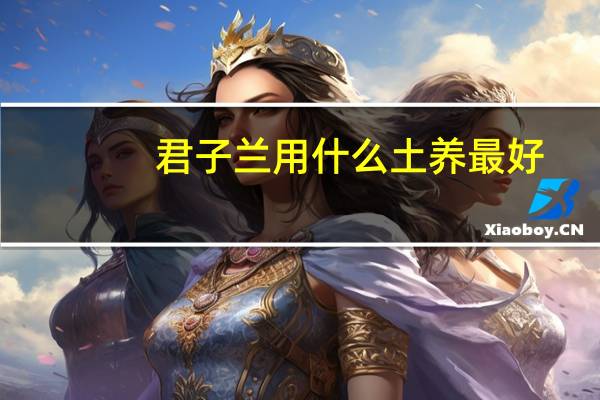 君子兰用什么土养最好