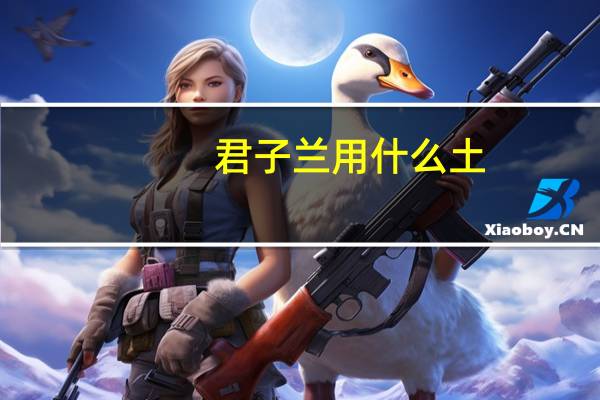 君子兰用什么土