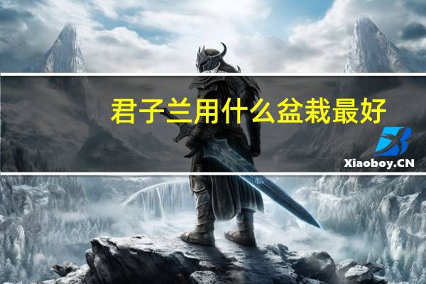 君子兰用什么盆栽最好