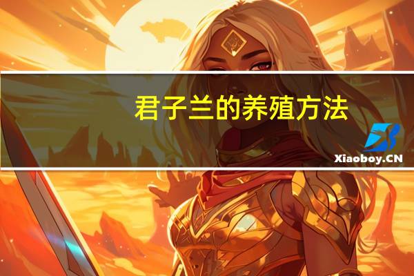 君子兰的养殖方法