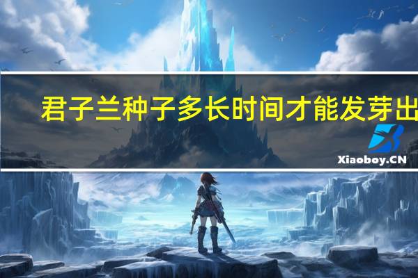 君子兰种子多长时间才能发芽出苗