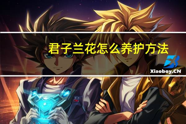 君子兰花怎么养护方法