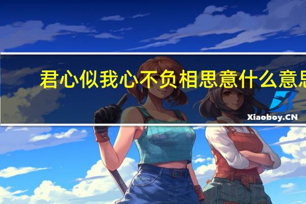 君心似我心不负相思意什么意思