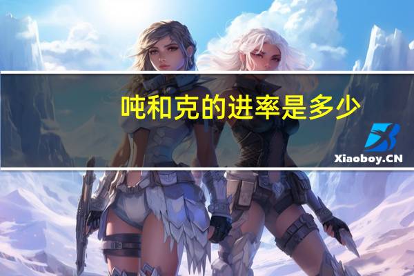 吨和克的进率是多少