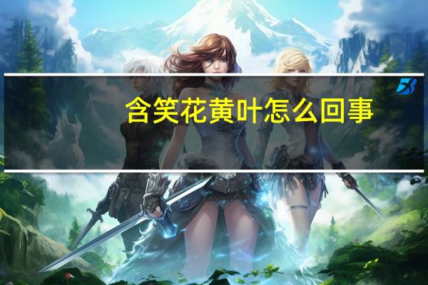 含笑花黄叶怎么回事