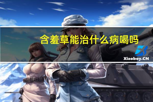 含羞草能治什么病喝吗（含羞草能治什么病）
