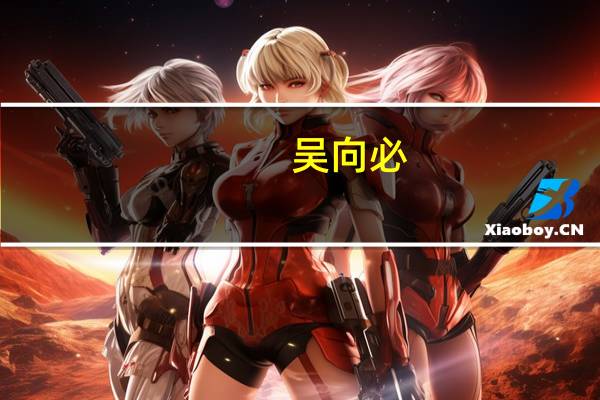 吴向必（吴向东简历）