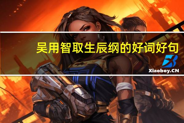 吴用智取生辰纲的好词好句