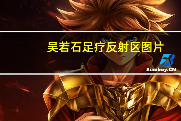 吴若石足疗反射区图片(吴若石新足部健康法简介)