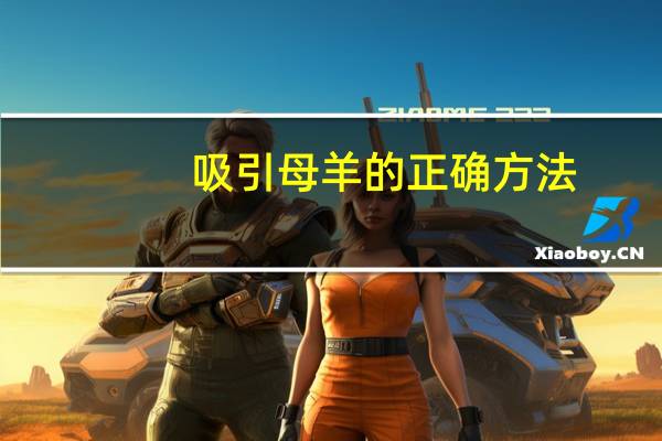 吸引母羊的正确方法