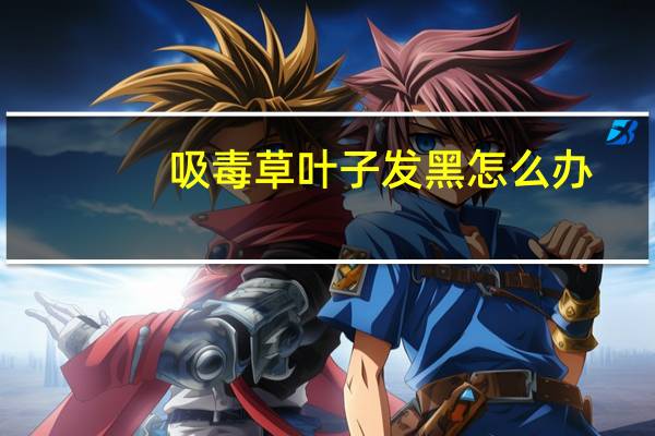 吸毒草叶子发黑怎么办