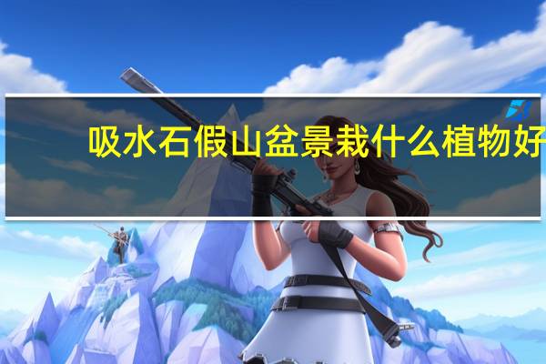 吸水石假山盆景栽什么植物好