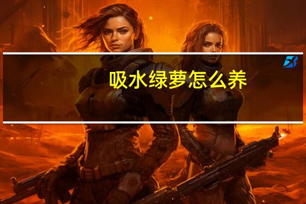 吸水绿萝怎么养