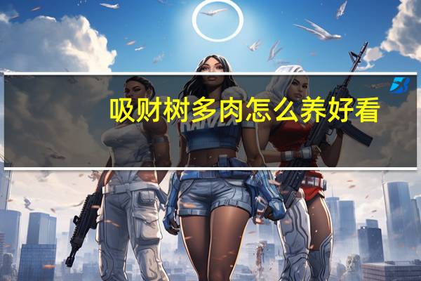 吸财树多肉怎么养好看