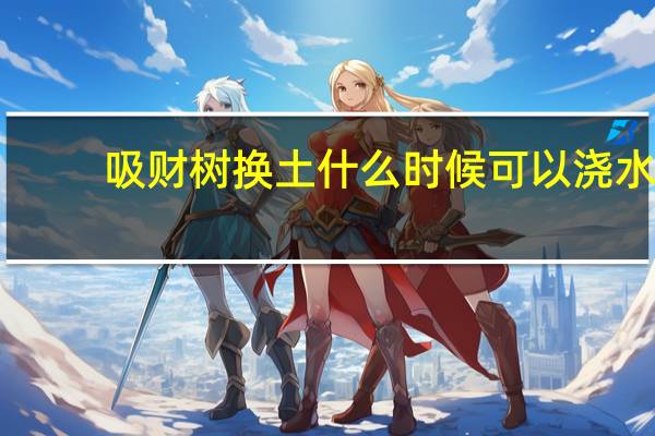 吸财树换土什么时候可以浇水