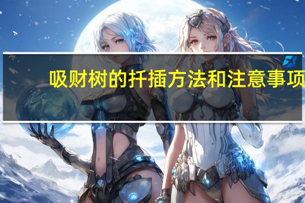 吸财树的扦插方法和注意事项