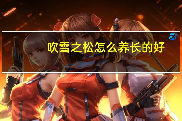 吹雪之松怎么养长的好