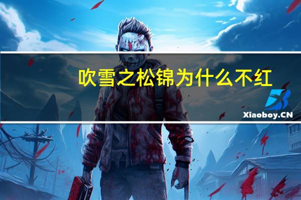 吹雪之松锦为什么不红