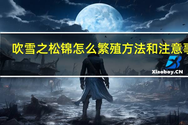 吹雪之松锦怎么繁殖方法和注意事项
