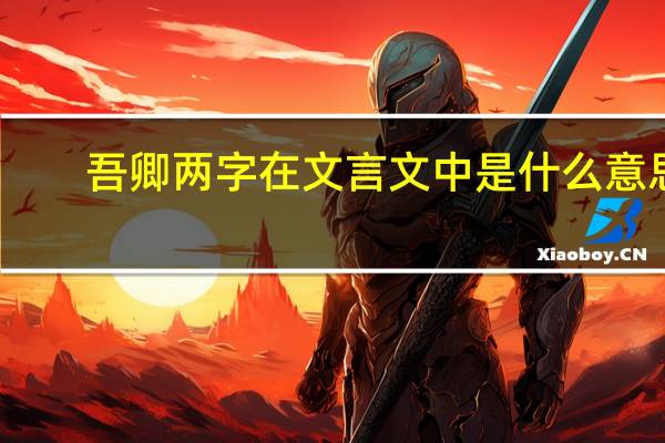 吾卿两字在文言文中是什么意思