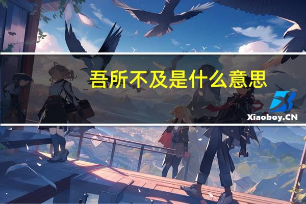 吾所不及是什么意思