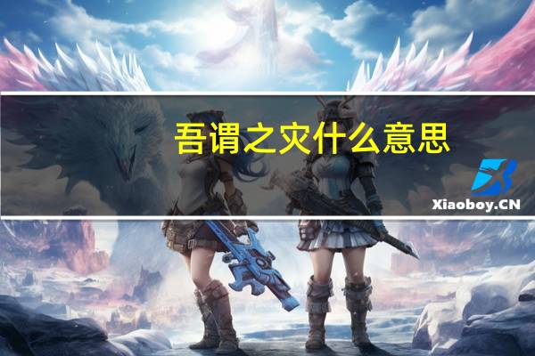 吾谓之灾什么意思