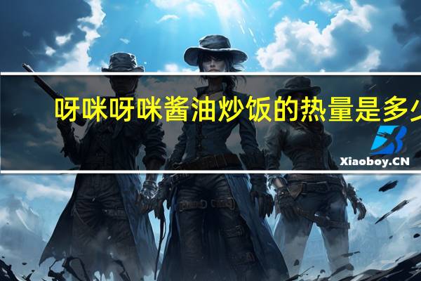 呀咪呀咪 酱油炒饭的热量是多少