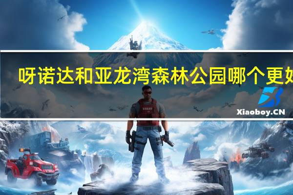呀诺达和亚龙湾森林公园哪个更好玩（呀诺达和亚龙湾森林公园哪个好）