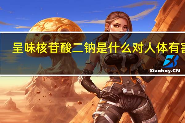 呈味核苷酸二钠是什么对人体有害吗（呈味核苷酸二钠）