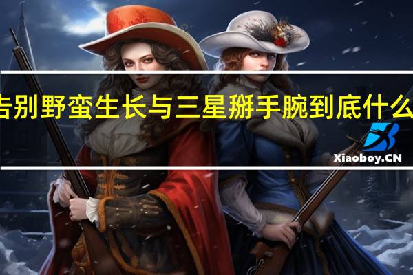 告别野蛮生长与三星掰手腕 到底什么情况嘞