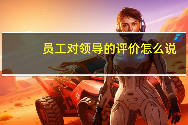 员工对领导的评价怎么说（员工对领导的评价怎么写）