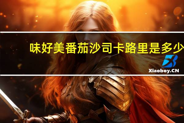 味好美 番茄沙司卡路里是多少