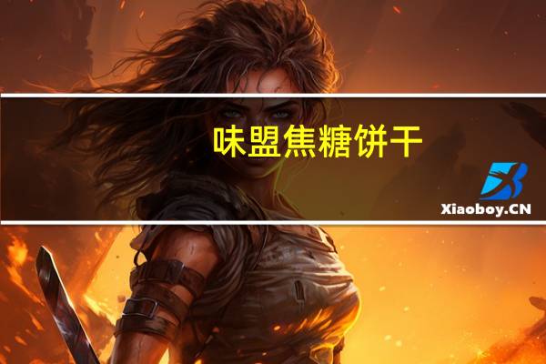 味盟 焦糖饼干(比利时风味)的热量是多少