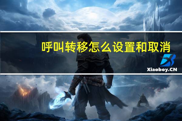 呼叫转移怎么设置和取消（呼叫转移怎么设置）