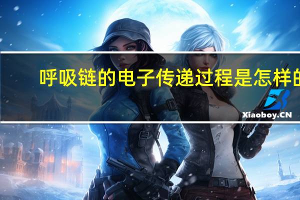 呼吸链的电子传递过程是怎样的
