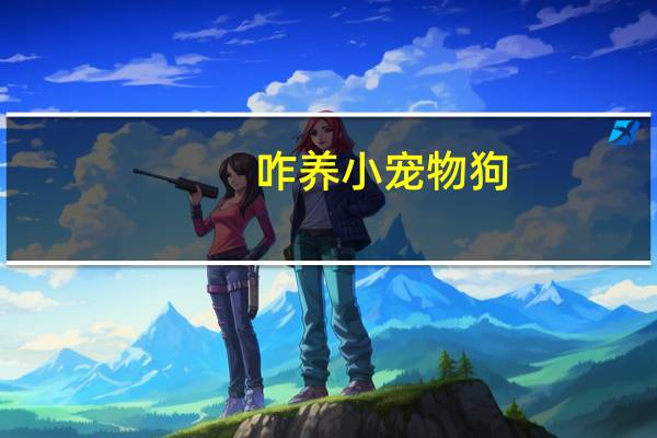 咋养小宠物狗