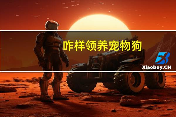 咋样领养宠物狗