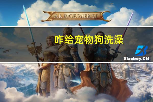 咋给宠物狗洗澡