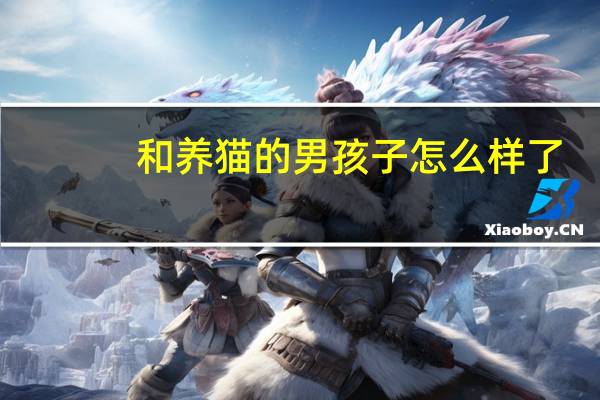 和养猫的男孩子怎么样了