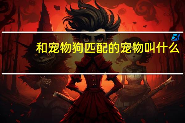 和宠物狗匹配的宠物叫什么
