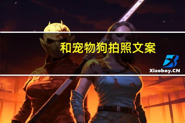 和宠物狗拍照文案