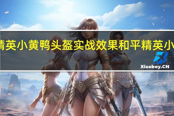 和平精英小黄鸭头盔实战效果 和平精英小黄鸭多少钱