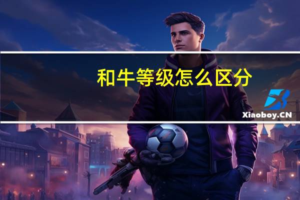 和牛等级怎么区分