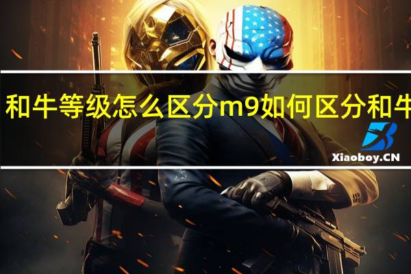 和牛等级怎么区分m9 如何区分和牛等级